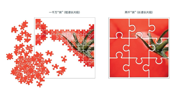 圖片.png